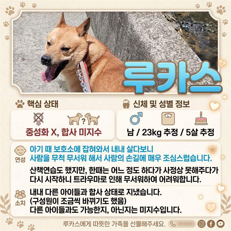 루카스