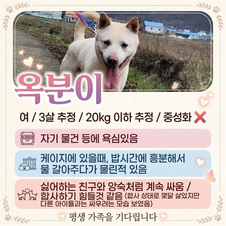옥분이