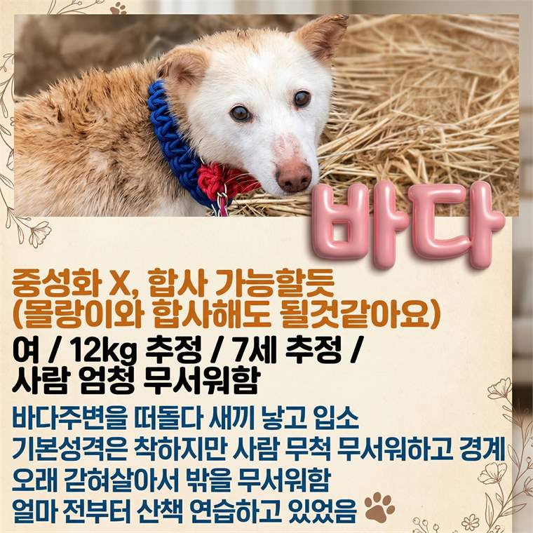 옥분이