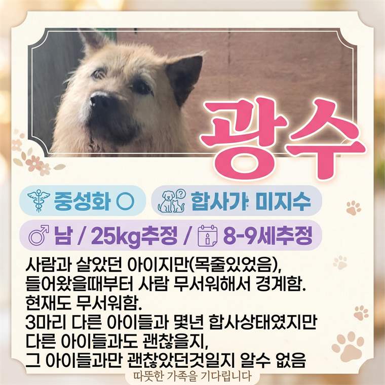 광수