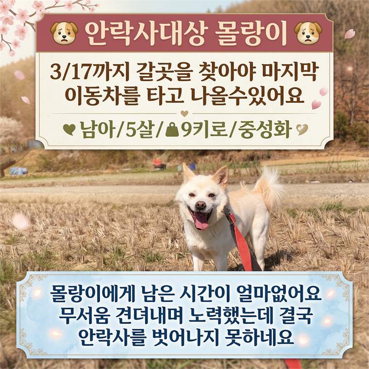 물랑이