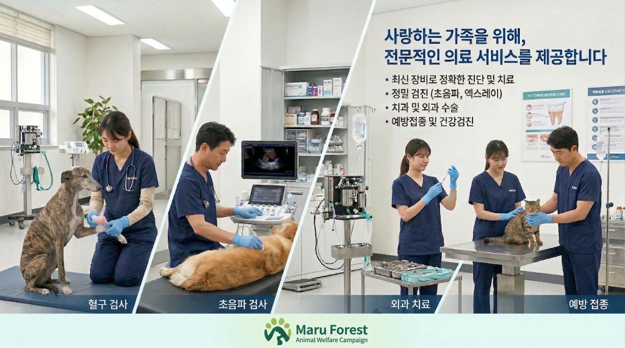 동물 치료